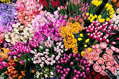 《小缇娜的奇幻之地》开发日志3：多职业、任务及区域