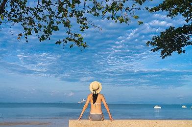 《动物收容所模拟器》明年第一季度登陆PC平台